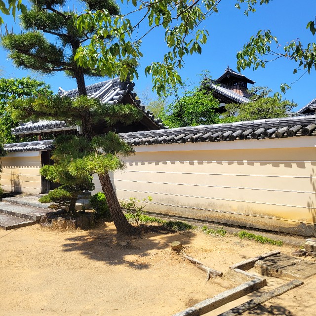 f:id:atoriatoriatori:20250602095432j:image
