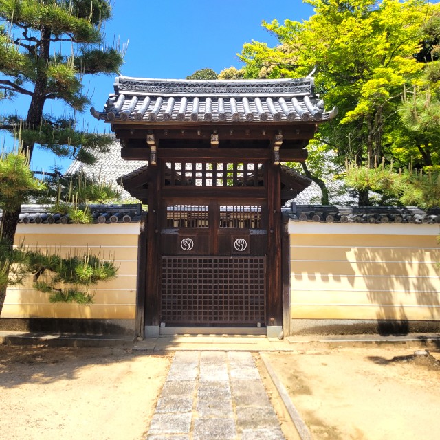 f:id:atoriatoriatori:20250602095819j:image