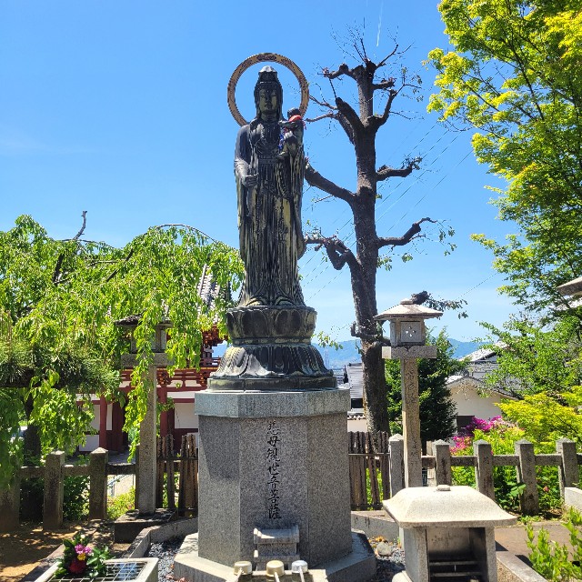 f:id:atoriatoriatori:20250602103415j:image