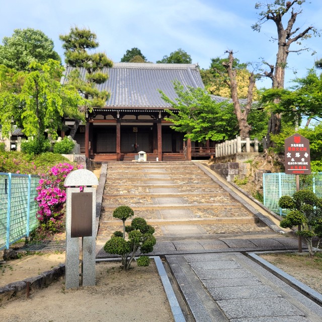f:id:atoriatoriatori:20250602104132j:image