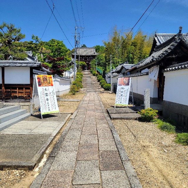f:id:atoriatoriatori:20250602104705j:image