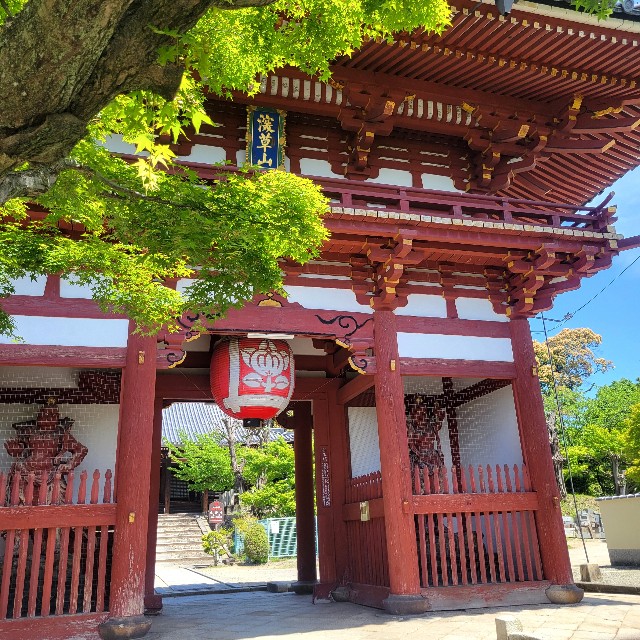 f:id:atoriatoriatori:20250602104734j:image