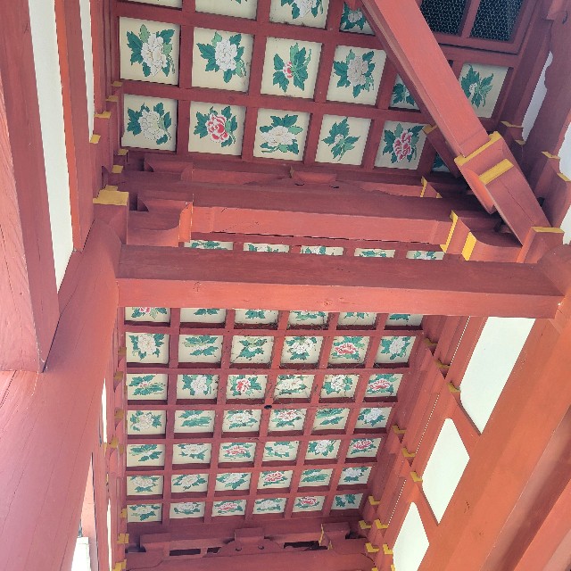 f:id:atoriatoriatori:20250602105129j:image