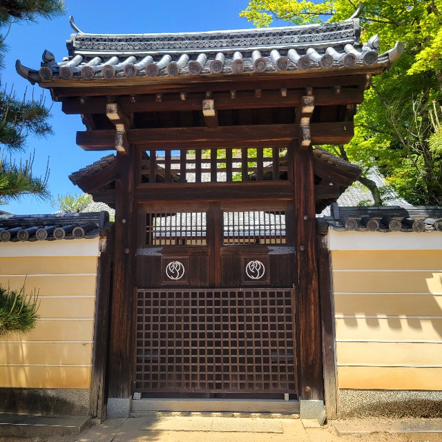 f:id:atoriatoriatori:20250602121746j:image