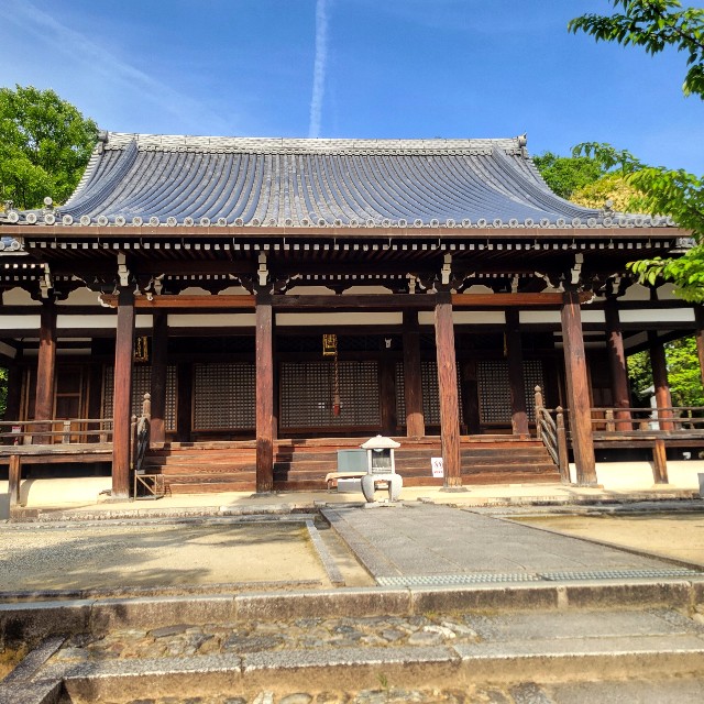 f:id:atoriatoriatori:20250602122636j:image