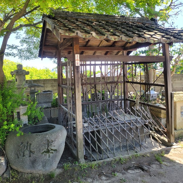 f:id:atoriatoriatori:20250602135802j:image