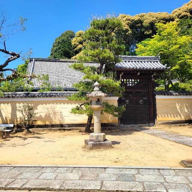 f:id:atoriatoriatori:20250602140113j:image