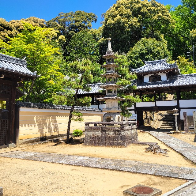 f:id:atoriatoriatori:20250602150411j:image