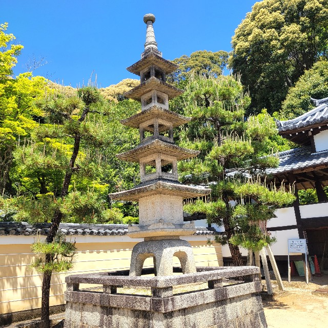 f:id:atoriatoriatori:20250602150422j:image