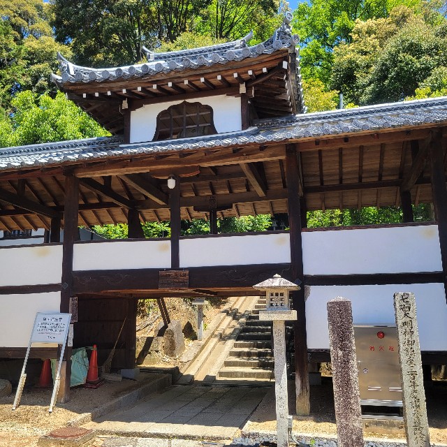 f:id:atoriatoriatori:20250602160121j:image