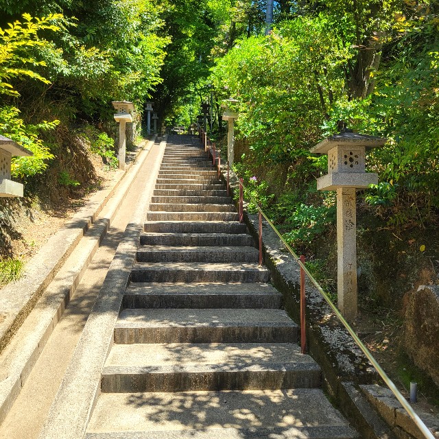 f:id:atoriatoriatori:20250602160559j:image