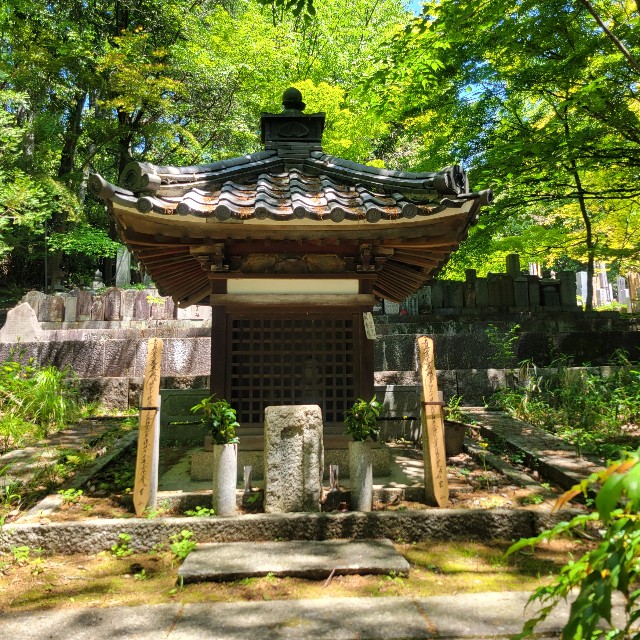 f:id:atoriatoriatori:20250602161236j:image