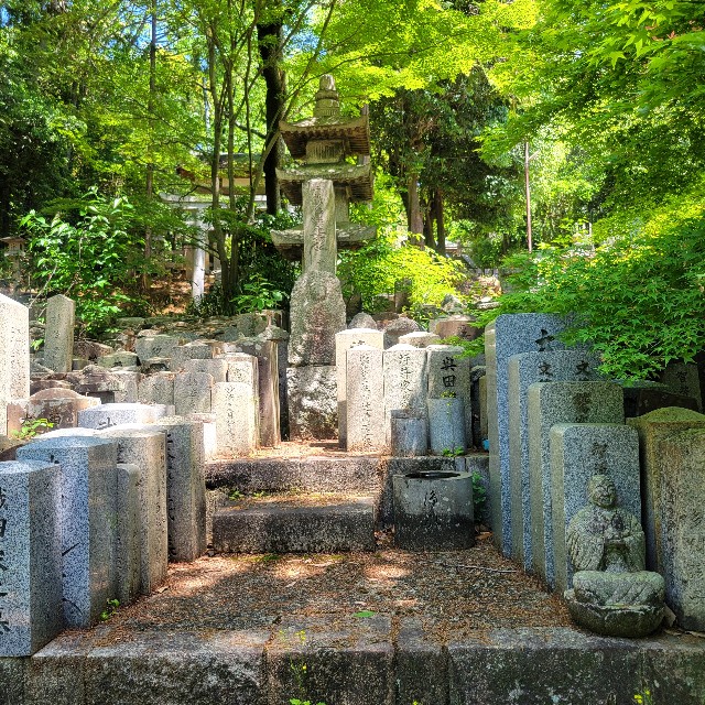 f:id:atoriatoriatori:20250602161251j:image