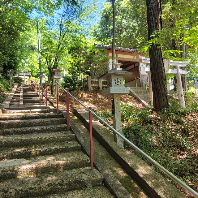 f:id:atoriatoriatori:20250602161258j:image