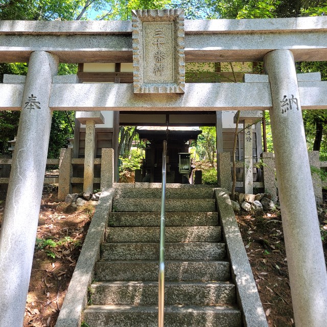 f:id:atoriatoriatori:20250602171255j:image