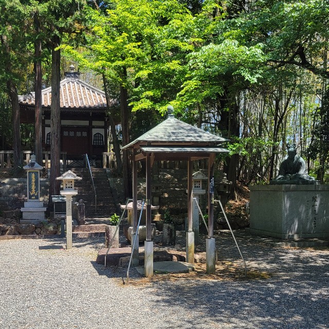 f:id:atoriatoriatori:20250602171357j:image