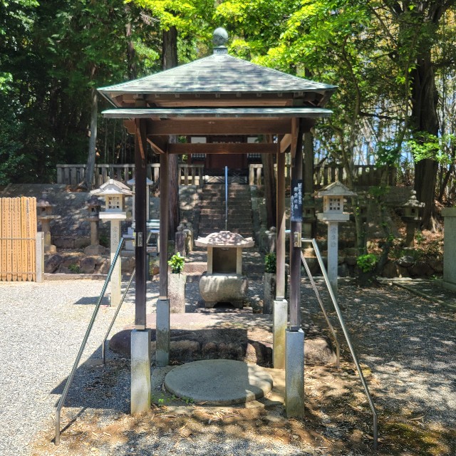 f:id:atoriatoriatori:20250602171405j:image