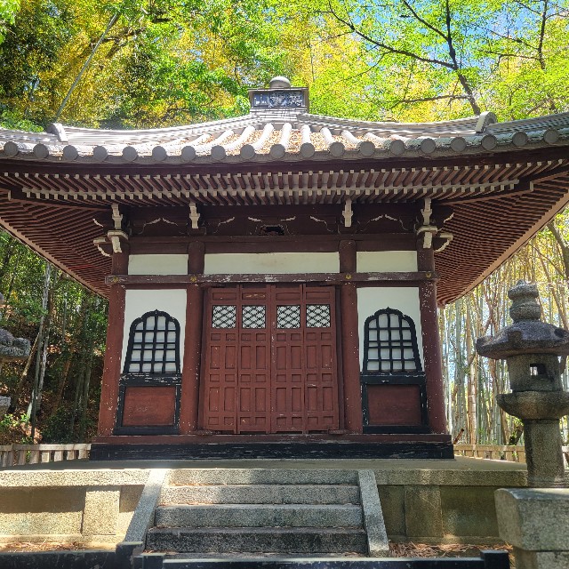 f:id:atoriatoriatori:20250602172347j:image