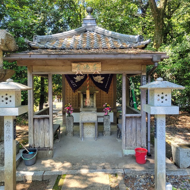 f:id:atoriatoriatori:20250602194617j:image