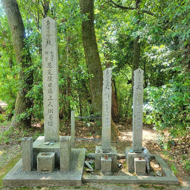 f:id:atoriatoriatori:20250602194736j:image