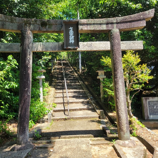 f:id:atoriatoriatori:20250602194847j:image