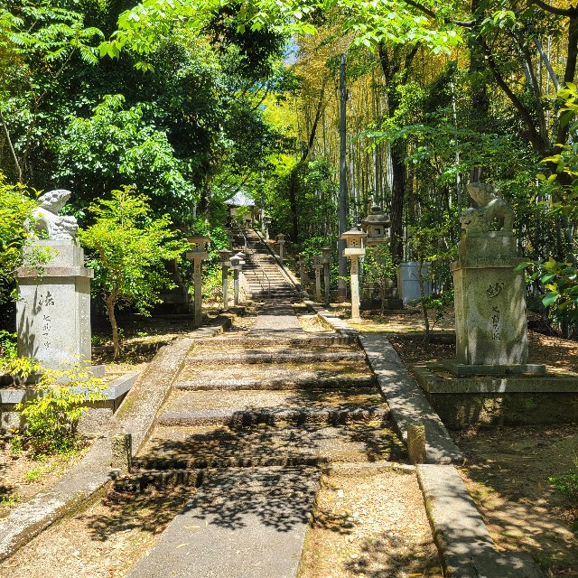 f:id:atoriatoriatori:20250602205319j:image