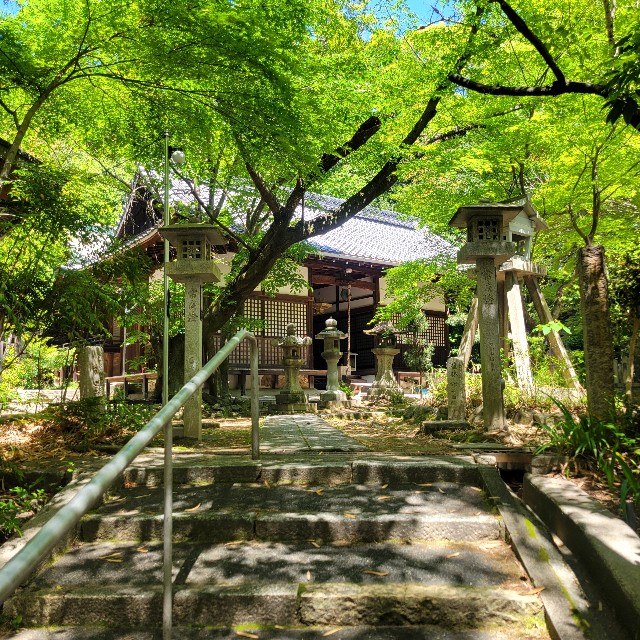 f:id:atoriatoriatori:20250602205347j:image