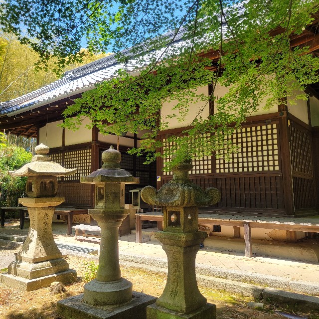 f:id:atoriatoriatori:20250602205922j:image