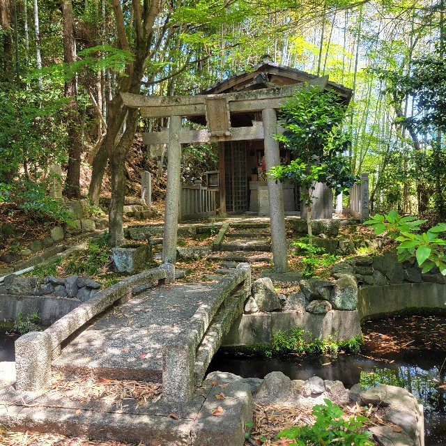 f:id:atoriatoriatori:20250603082233j:image