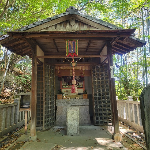 f:id:atoriatoriatori:20250603082241j:image