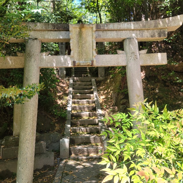 f:id:atoriatoriatori:20250603082857j:image