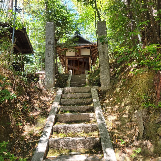 f:id:atoriatoriatori:20250603085551j:image