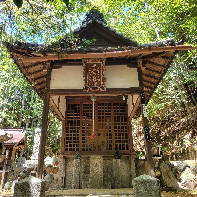 f:id:atoriatoriatori:20250603090617j:image