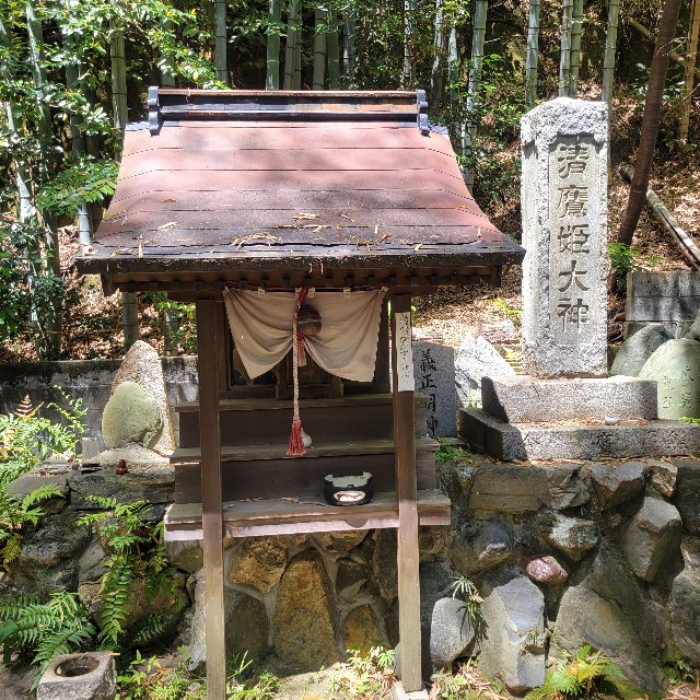 f:id:atoriatoriatori:20250603090644j:image