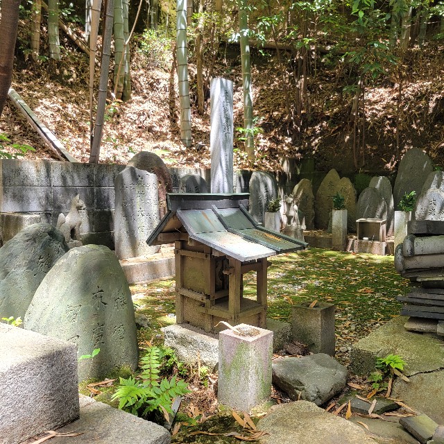 f:id:atoriatoriatori:20250603090653j:image