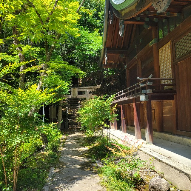 f:id:atoriatoriatori:20250603092555j:image