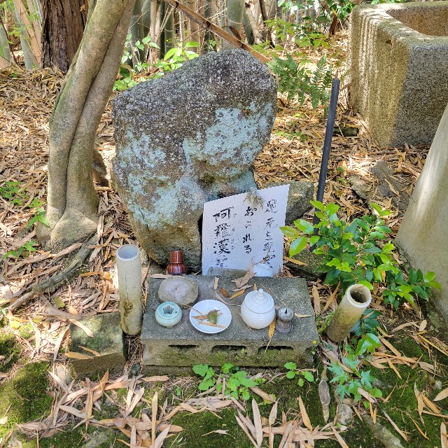 f:id:atoriatoriatori:20250603092857j:image