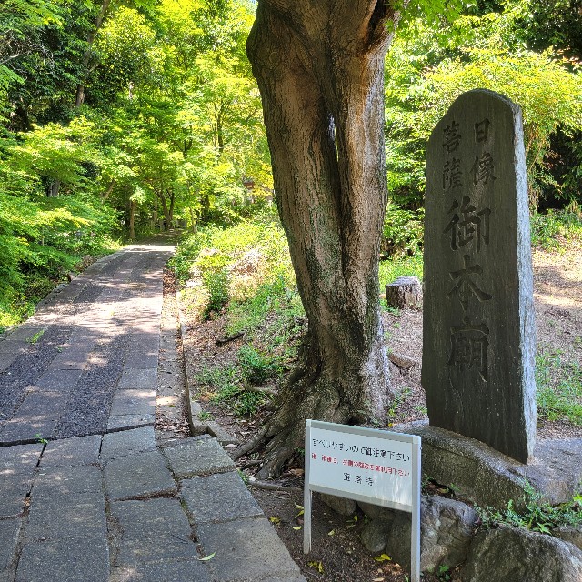 f:id:atoriatoriatori:20250603095325j:image