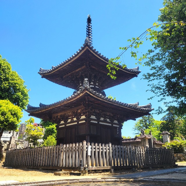f:id:atoriatoriatori:20250603095355j:image