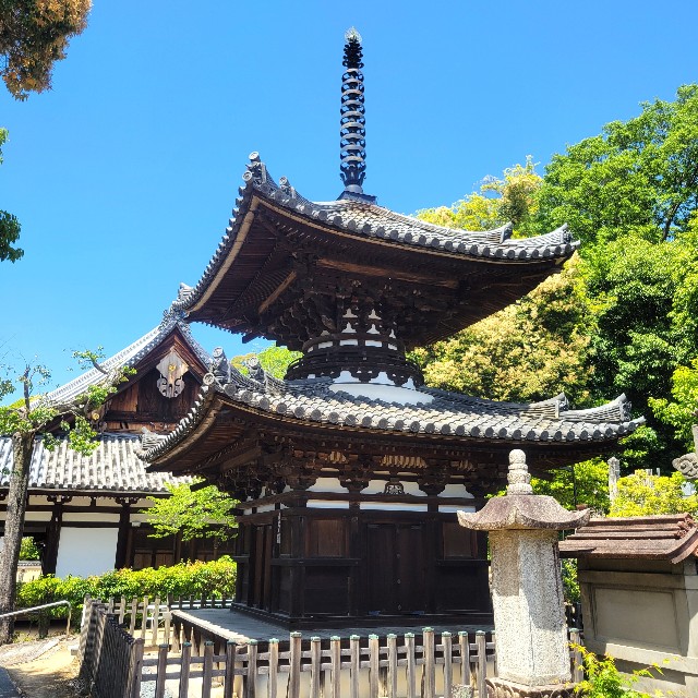 f:id:atoriatoriatori:20250603095403j:image