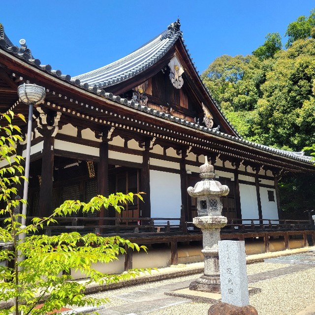 f:id:atoriatoriatori:20250603100009j:image