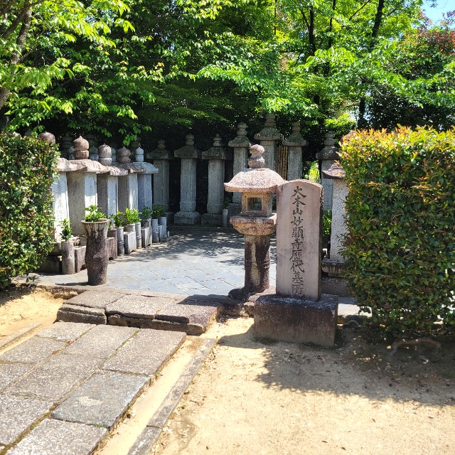 f:id:atoriatoriatori:20250603102434j:image