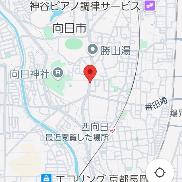 f:id:atoriatoriatori:20250605160355j:image