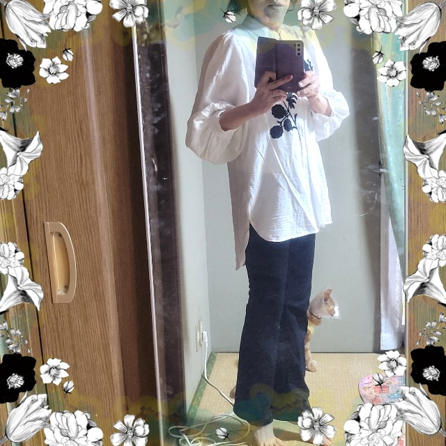f:id:atoriatoriatori:20250607160357j:image