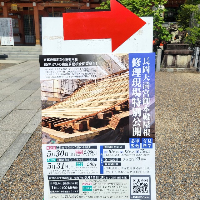 f:id:atoriatoriatori:20250607202859j:image