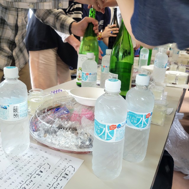 f:id:atoriatoriatori:20250608174842j:image