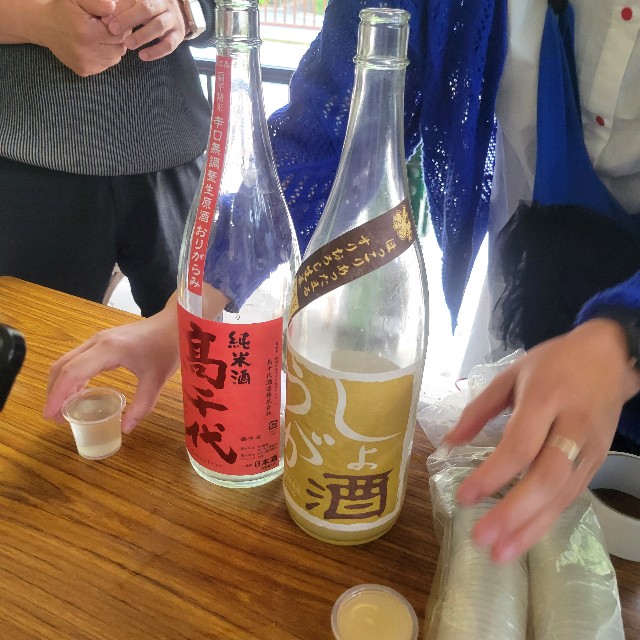 f:id:atoriatoriatori:20250609112017j:image