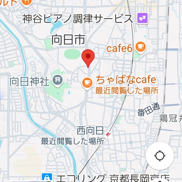f:id:atoriatoriatori:20250609164502j:image