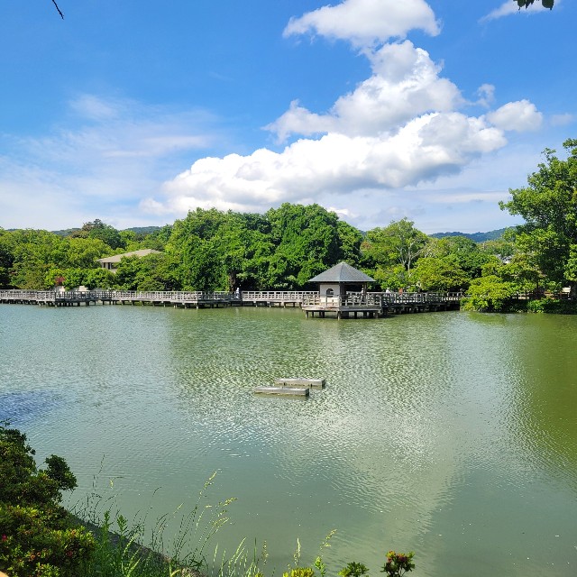 f:id:atoriatoriatori:20250610194924j:image