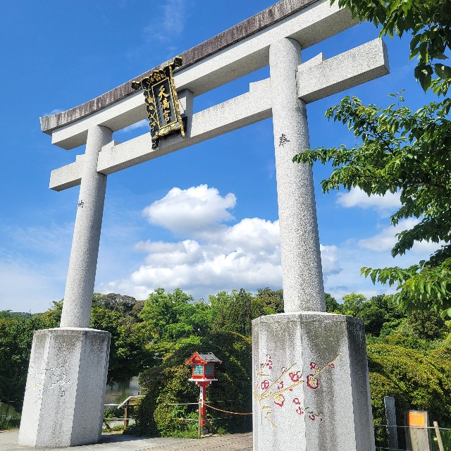 f:id:atoriatoriatori:20250610194958j:image